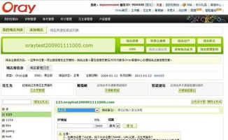 oray如何将我的域名指向我购买空间